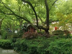 -吴山景区