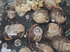 -金龙渔港(双楠店)