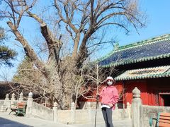 -北京鹫峰国家森林公园