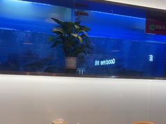 -老板恋上鱼(印象城店)
