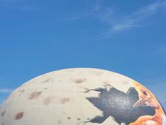 -黑龙江扎龙生态旅游区