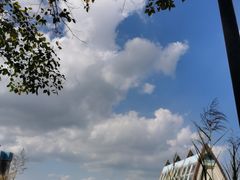 -美的鹭湖森林度假区