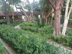 -九龙公园