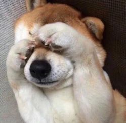 -菜百首饰(朝阳店)