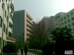 -西北大学(桃园校区)