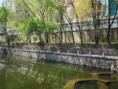 -特佳游泳馆(特佳中心店)