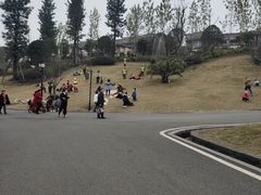 -枫香湖儿童公园