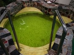 -兴芮温泉度假区