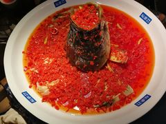 -坛宗剁椒鱼头(河西王府井店)