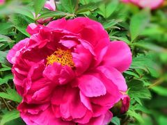 -合肥三国新城遗址公园