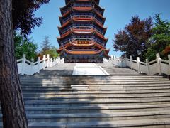 -铁山坪森林公园