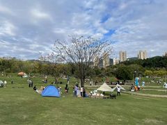 -牛岗山公园