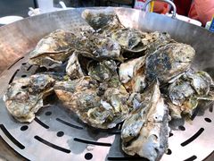 -飞尝蚝·顺德菜·鱼生(顺德总店)
