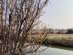 -嘉北郊野公园