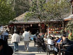 -青城甲(青城山店)