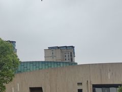 -新江湾城公园