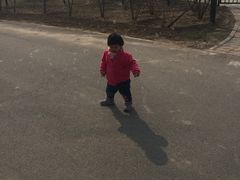 -永定河休闲森林公园