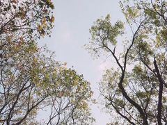 -上海野生动物园
