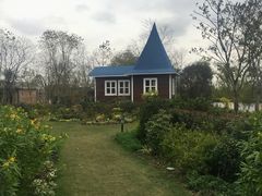 -杭州湾海上花田景区