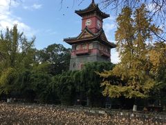 -四川大学(华西校区)