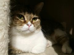 -小时光咖啡馆(开森度假森林店)