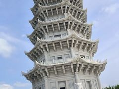 -嘉荫恐龙国家地质公园
