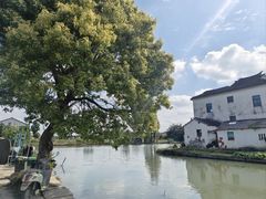 -水岸居湖景农家乐·阳澄湖大闸蟹