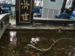 -弘医堂中医院