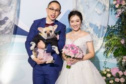 -LANYI COUTURE高级婚纱礼服改衣店