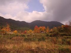 -塔川景区