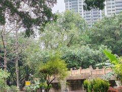 -晓港公园