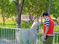 -水上乐园·欢乐世界