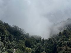 -云南屏边大围山国家公园