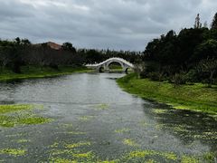 -上海海湾国家森林公园