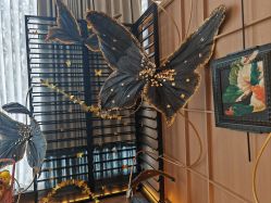 -RUMI日弥美容会所