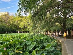 -四川大学(望江校区)