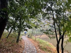 -四明山国家森林公园