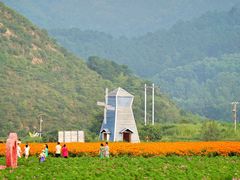 -百里山水画廊