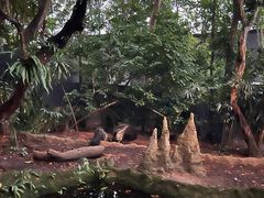 -夜间野生动物园