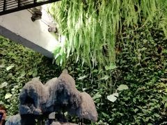 -外婆家(杭州马塍店·杭帮菜名店)