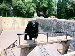 -东方熊牧场