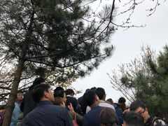 景点-武当山风景区