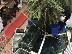 -稻香村鱼庄