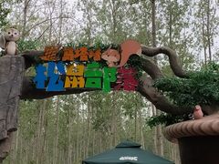 -合肥滨湖国家森林公园