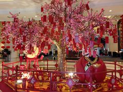 -常州武进九洲喜来登酒店