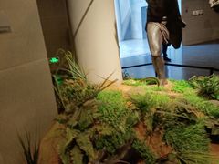 -北京周口店北京人遗址博物馆