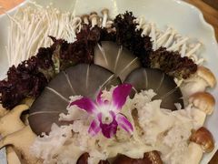 -南门四季铜锅涮肉(大屯·北苑店)