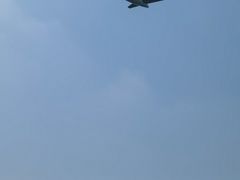 -空港花田景区