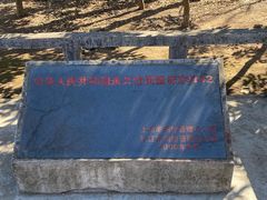 -上海佘山国家森林公园天马山园