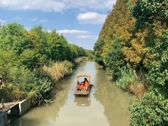 -上海长兴岛郊野公园